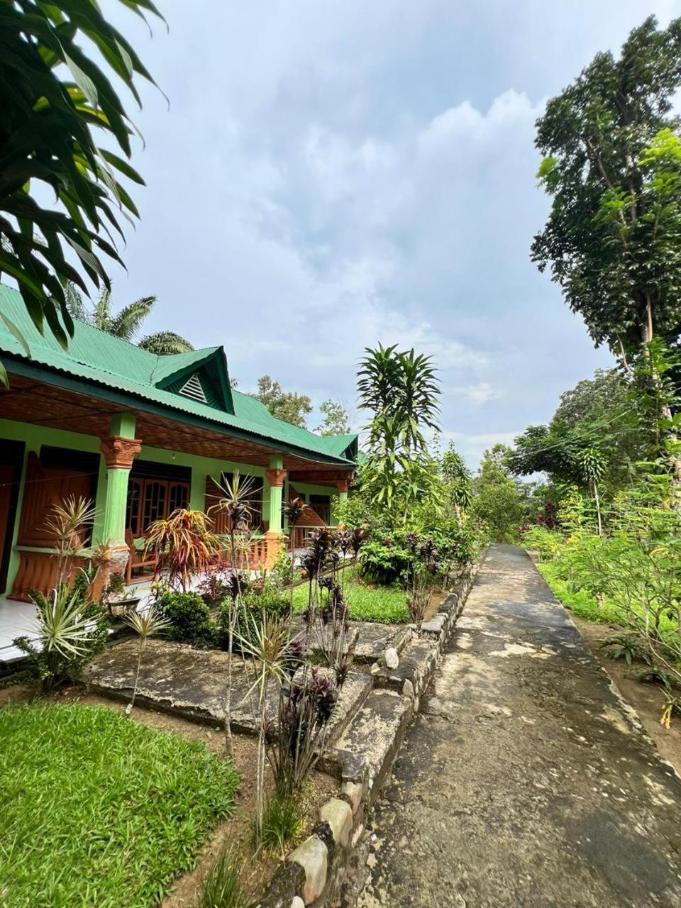 Wisma Batu Mandi Bukit Lawang Exterior foto