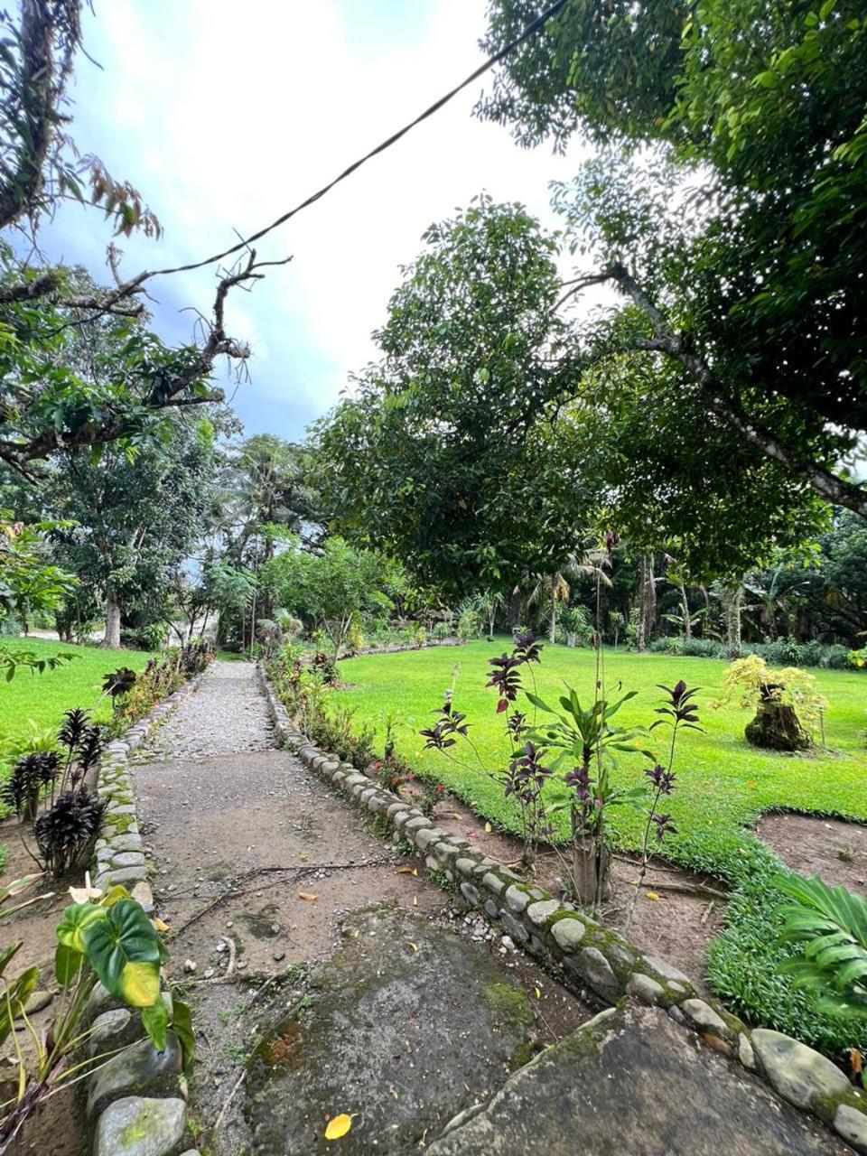 Wisma Batu Mandi Bukit Lawang Exterior foto